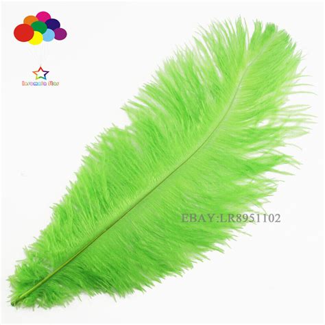 Green Ostrich Feather Wedding Plumes Home Decor Pcs Wings