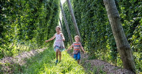 Die Hallertau erleben beim Radfahren oder Wandern | Hopfenland Hallertau