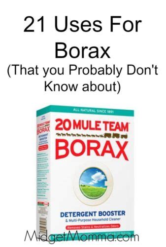 21 Uses For Borax (That you Probably Don't Know about) • MidgetMomma