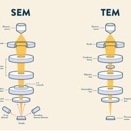 Tem Vs Sem Microscopy