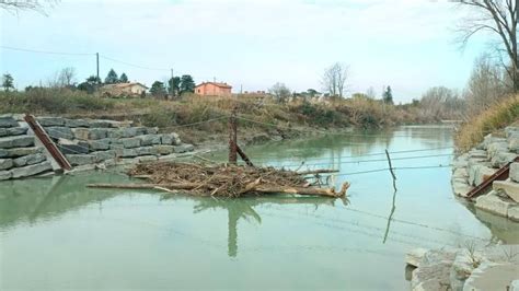 Protezione Civile A Cesena La Briglia Sul Savio In Tre Mesi Ha Fermato