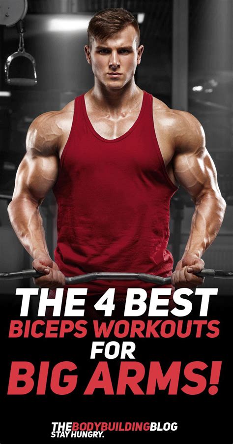 Sculpt Your Arms With The Best Biceps Workouts For Big Arms