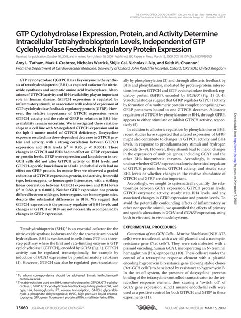 Pdf Gtp Cyclohydrolase I Expression Protein And Activity Determine