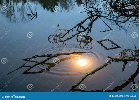 Glowing And Burning Ball Under The Water With Tree Branches Reflected