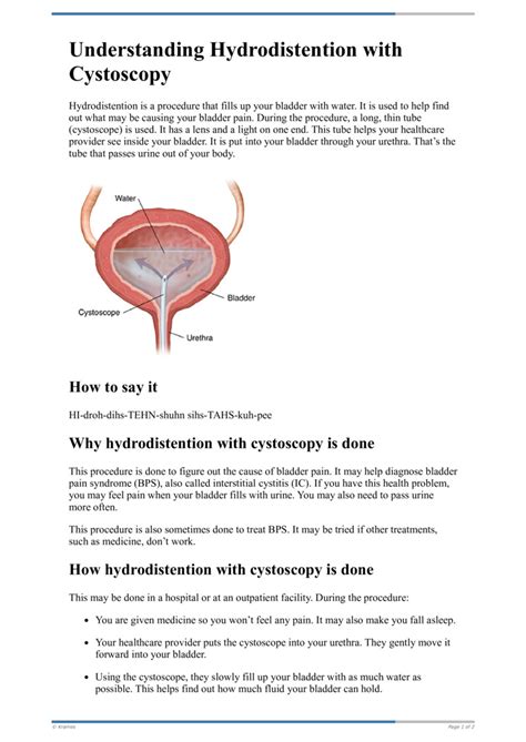 Text - Understanding Hydrodistention with Cystoscopy - HealthClips Online