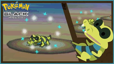 LIVE FULL ODDS Shiny Sandile In Pokemon Black Phase 4 YouTube