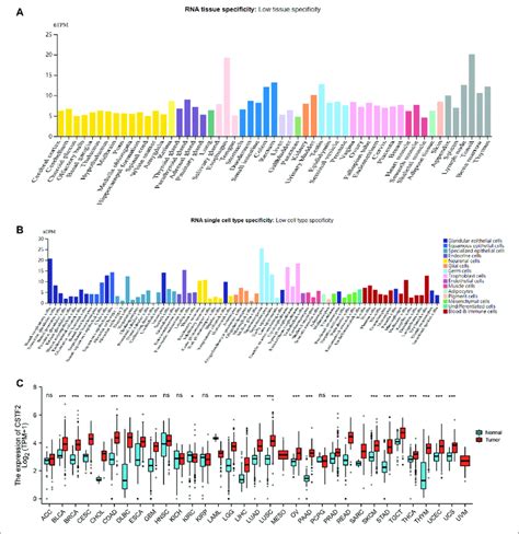 Expression Difference Of Cstf In Pan Carcinoma A Cstf Mrna