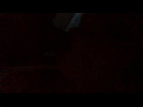 Mexicana Chupando Rico XVIDEOS