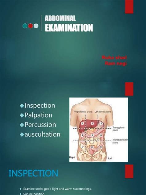 Abdominal Examination | PDF