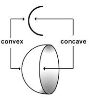 Difference between Convex and Concave Curves | Convex vs Concave Curves