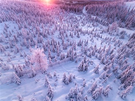 Gorgeous Aerial Pictures of a Snowy Forest in Finland-0 – Fubiz Media