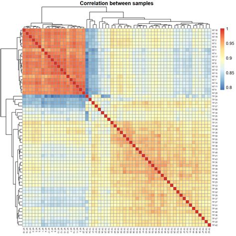 2 Exploratory Data Analysis