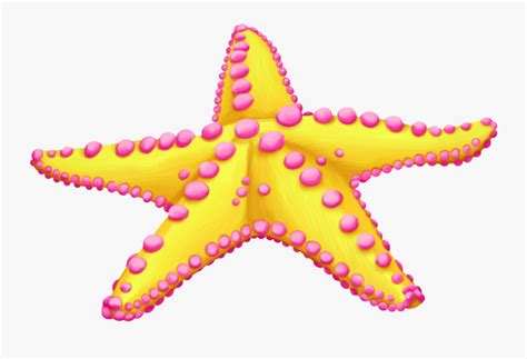 Starfish Clip Art Sea Image Toile De Mer Clipart Free Transparent