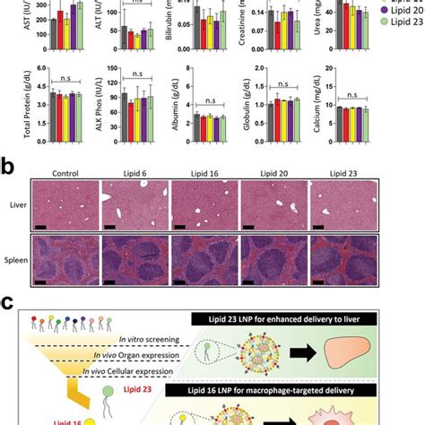 In Vivo Screening Of Amino Ionizable Lnps For Mrna Delivery A