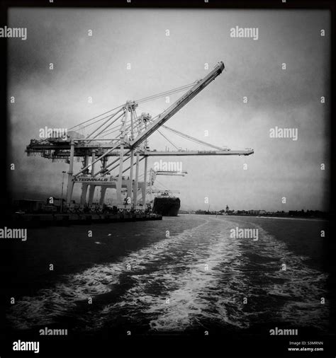 Port of Oakland container cranes Stock Photo - Alamy