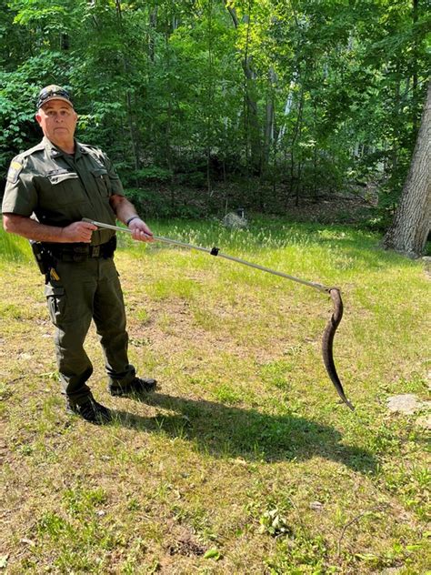 DEC Officers Learn How To Capture And Handle Rattlesnakes