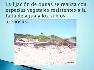 Erosion Costera PPT