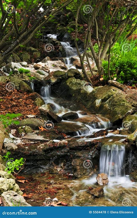 Creek With Waterfalls Stock Photo Image Of Gardening 5504478