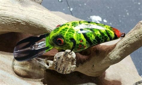 Custom Painted Rock Crawler Crankbait Moss Green Web Craw Ebay