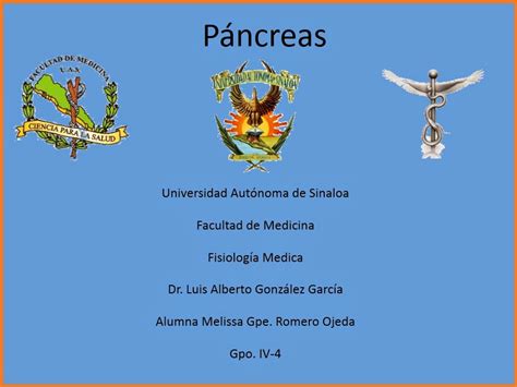 FisiologÍa MÉdica Melissa Guadalupe Romero Ojeda Páncreas