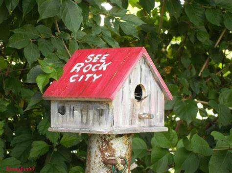 See Rock City Birdhouse Bird Houses Diy Bird Houses Bird House