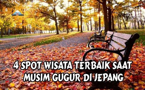 Spot Wisata Terbaik Saat Musim Gugur Di Jepang Tanogaido