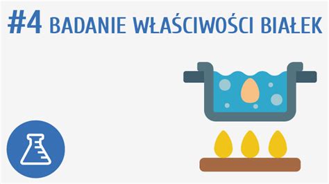 Badanie właściwości białek Pi stacja