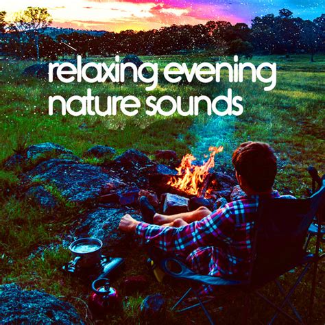 Relaxing Evening Nature Sounds Album By Nature Sounds Sons De La