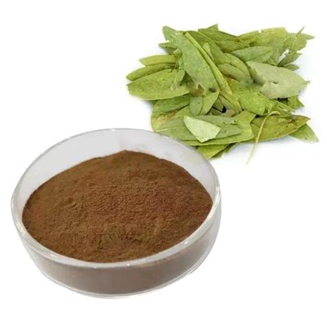 Pure Natural Senna Leaves Extract Powder Senna Leaf Extract China