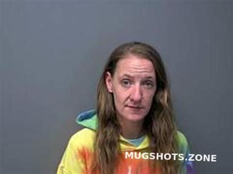 CHELSEA DIANNE BALLANCE 04 08 2024 Baxter County Mugshots Zone