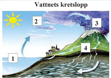 Pedagogisk Planering I Skolbanken Vatten