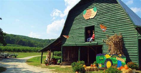 Apple Farm Orchards Near Asheville North