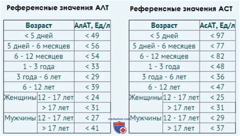 Норма АЛТ и АСТ в крови. Что значат отклонения?