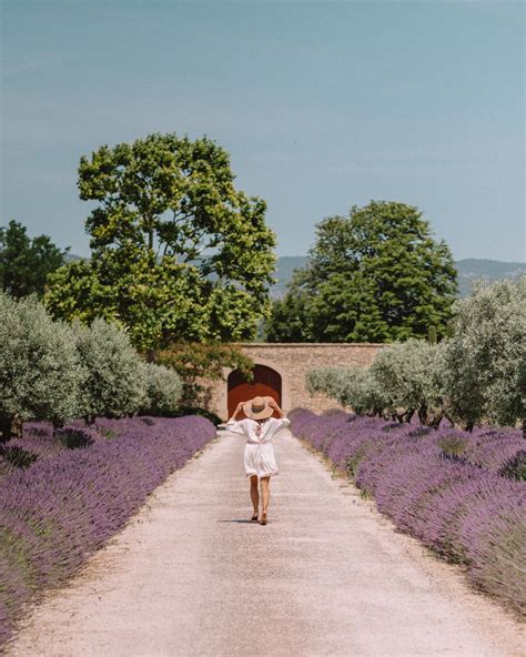 South Of France Provence Guide Find Us Lost South Of France