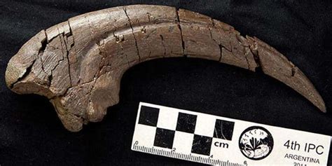 Scientists Unearth Huge Claw From 110 Million Year Old Carnivorous