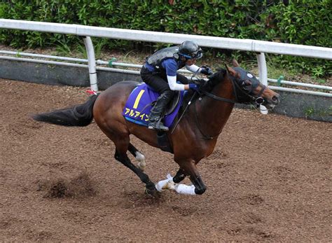 【宝塚記念1週前追い】アルアイン、体にまだ余裕も先着― スポニチ Sponichi Annex ギャンブル