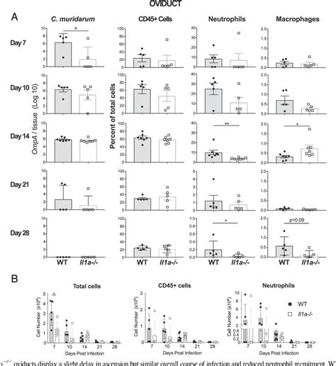 Figure 3 From Il 1α Is Essential For Oviduct Pathology During Genital