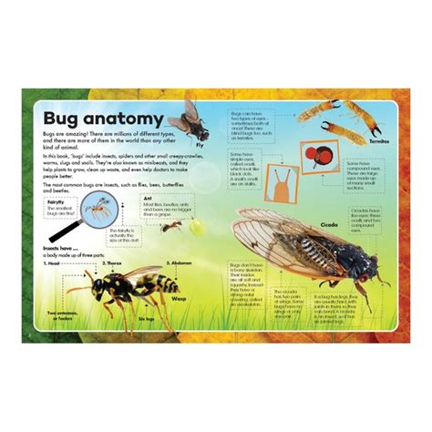 Explore And Learn Kits Bugs And Minibeasts Educational