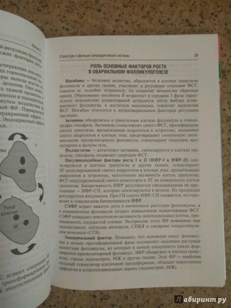 Книга: Гинекологическая эндокринология. Клинические лекции - Манухин ...