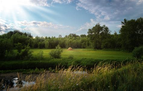 Wallpaper Greens Field Forest Summer The Sky Clouds Rays Light