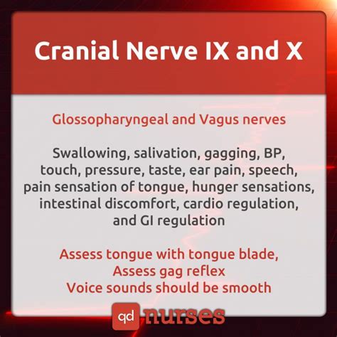 Cranial Nerves Mnemonics To Help You Pass Your Exams