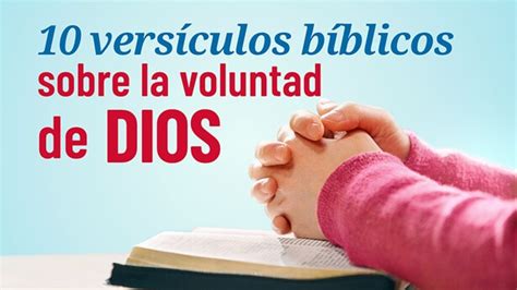 Vers Culos Del Temor A Dios Y Apartarse Del Mal