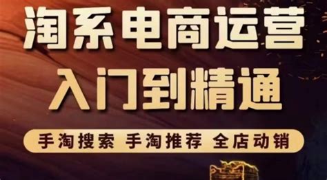 淘系电商入门到精通 手淘搜索，手淘推荐，全店动销 （价值1099元） 淘宝电商 源码村资源网