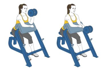 One Arm Bicep Curl In Preacher Bench Exercises Routines