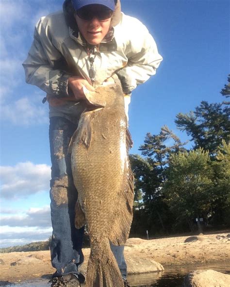 Huge Freshwater Drum