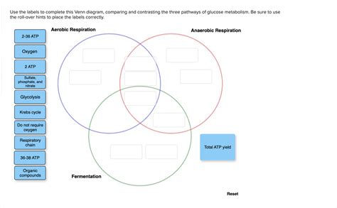 Answered Use The Labels To Complete This Venn Bartleby