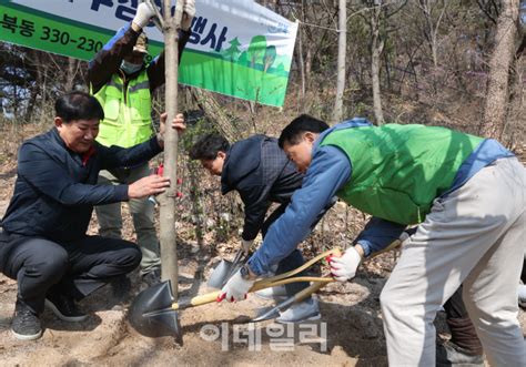 포토 성북구 4년만에 재개된 제78회 식목일 기념 나무심기