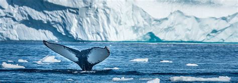 Voyage Islande sur Mesure Votre Agence Spécialisée