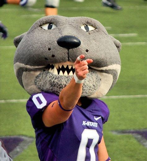 20 Signs You Go To Kansas State University Society19 Kansas State