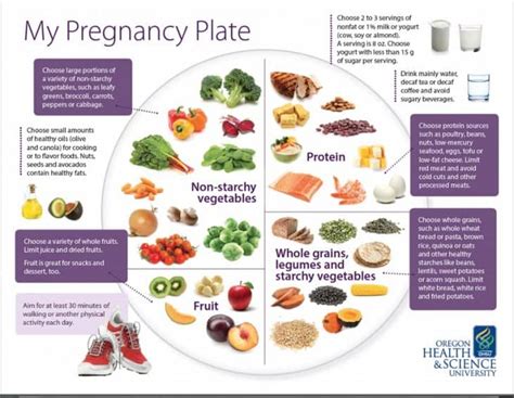 Pregnancy Facts Top 14 Facts About Pregnancy